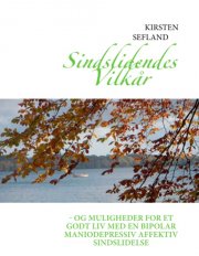 sindslidendes vilkår - bog
