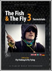 the fish & the fly 3 terrestrials - DVD
