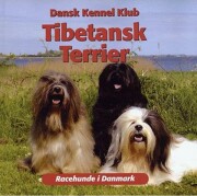 tibetansk terrier - bog