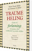 traumeheling - bog