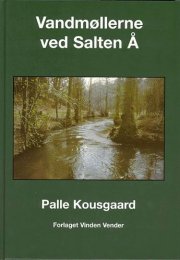 vandmøllerne ved salten å - bog