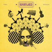shawn lees ping pong orchestra - voices and choices - cd