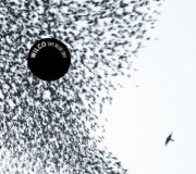 wilco - sky blue sky - cd