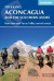 Aconcagua And The Southern Andes - English Book