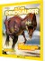 Alt Om Dinosaurer - Bog