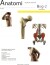 Anatomi - Bog 2 - Bog