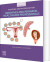 Anatomy And Physiology For Midwives And Perinatal Healthcare Professionals