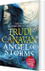 Angel Of Storms - English Book