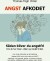 Angst Afkodet - Bog