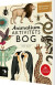 Animalium Aktivitetsbog - Bog