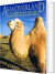 Asia Overland - English Book
