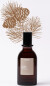 100Bon - Golden Shadow Edt - 30 Ml