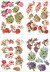 3D Motiver - Blomster Og Fugle - 21X30 Cm - 4 Ark