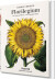 Florilegium - English Book