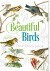 Beautiful Birds Colouring Book - English Book
