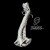 Pixies - Beneath The Eyrie - CD
