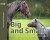 Big And Small - English Book