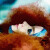  - Vinyl Lp