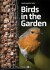 Birds In The Garden - English Book