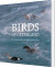 Birds Of Greenland - Bog