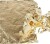 Bladguld - 16X16 Cm - 25 Ark - 0 625 M2