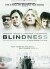 Blindness - DVD