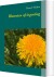 Blomsten Af Ingenting - Bog