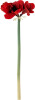 Bloomingville - Amaryllis Kunstige Blomster - Rød