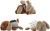 Bloomingville Mini - Charlie Bamse - Multifarvet - Polyester