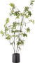 Bloomingville - Palmatum Kunstig Plante - Grøn - H 160 Cm