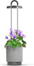 Click And Grow - Hydrovase - Grå