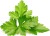 Click And Grow - Smart Garden Refill 3-Pack - Cilantrocoriander Sgr45X3