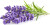 Click And Grow - Smart Garden Refill 3-Pack - Lavender Sgr30X3