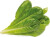 Click And Grow - Smart Garden Refill 3-Pack - Romaine Lettuce Sgr50X3