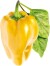 Click And Grow - Smart Garden Refill 3-Pack - Yellow Sweet Peppers Sgr53X3