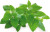 Click And Grow - Smart Garden Refill 3-Pak - Catnip