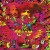 Cream - Disraeli Gears Remastered - CD