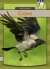 Crows - English Book