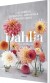 Dahlia - Bog