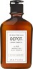 Depot Shampoo - No101 Normalizing Daily Shampoo - 250 Ml