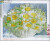 Diamond Painting - 40X50 Cm - Blomster