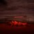 Lewis Capaldi - Divinely Uninspired To A Hellish Extent Finale - CD