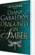 Dragonfly In Amber - English Book