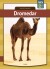 Dromedar - Bog