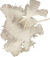 Dun - Str 7-8 Cm - Hvid - 500 G