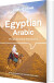 Egyptian Arabic Phrasebook Dictionary - Lonely Planet - English Book