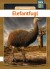 Elefantfugl - Bog