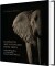 Elephants Are Not Picked From Trees - English Book