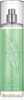 Elizabeth Arden - Green Tea Fragrance Mist 236 Ml