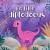 En Lille Diplodocus - Bog